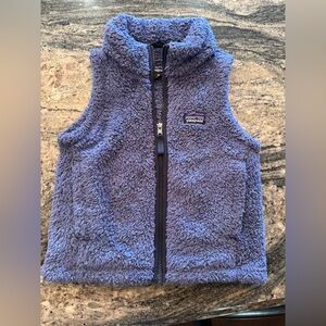 Patagonia Cozy Blue Sherpa Vest